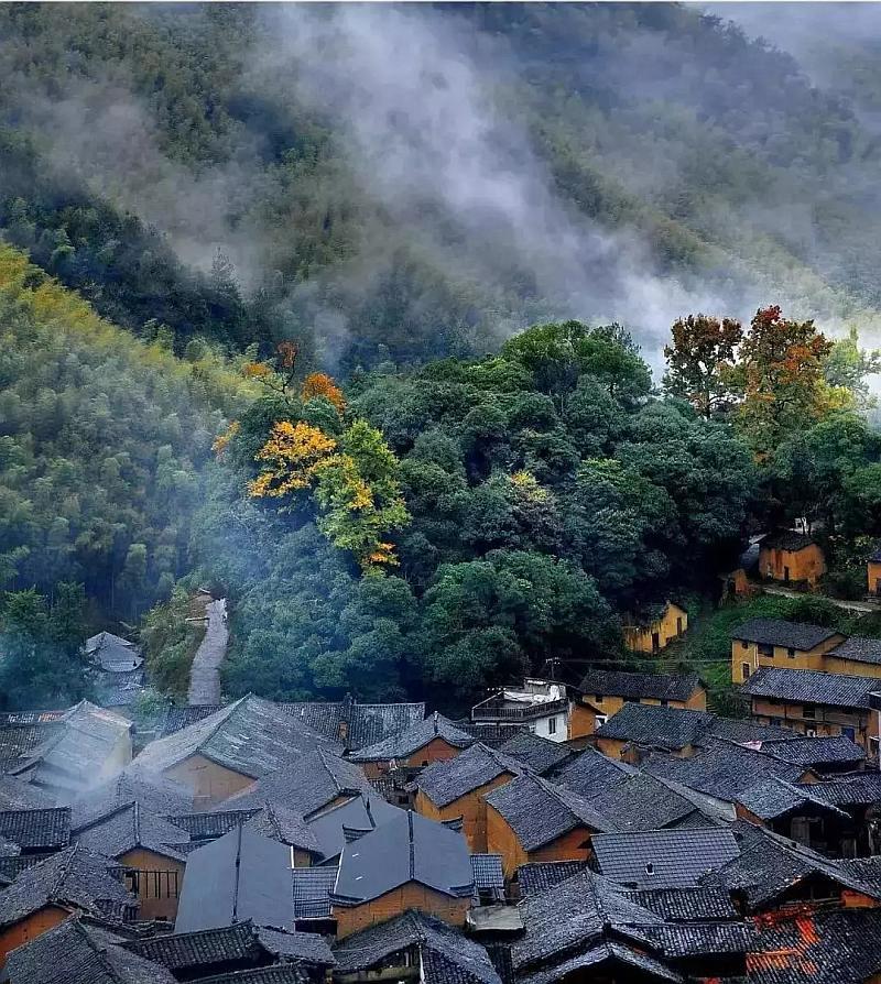燃烧吧大脑免广告最新版